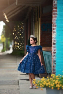 MILLY DRESS SPARKLE NAVY -Trish Scully Dresses Outlet Store 10 1