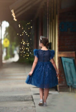 MILLY DRESS SPARKLE NAVY -Trish Scully Dresses Outlet Store 10 3