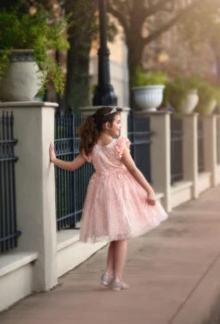 NATALIA DRESS PINK 5 NATALIA DRESS PINK -Trish Scully Dresses Outlet Store 104 3