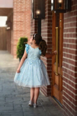 NATALIA DRESS SKY -Trish Scully Dresses Outlet Store 106 3