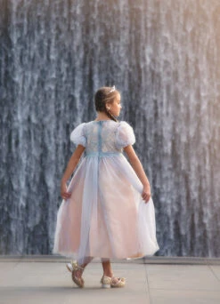 JACQUELINE GOWN SILVER -Trish Scully Dresses Outlet Store 120 3