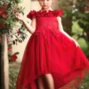 BELLE GOWN CRIMSON