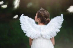 FEATHER WINGS -Trish Scully Dresses Outlet Store 154 1