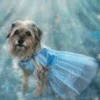 QUEEN OF THE KINGDOM FLUFFY DOG COSTUME