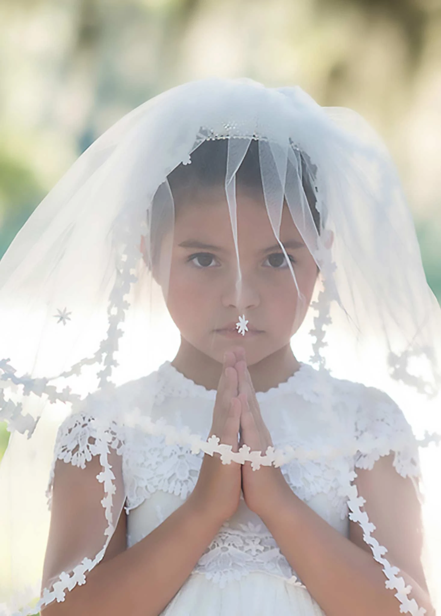 BIXBY VEIL 1 BIXBY VEIL