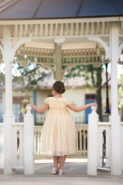 KATRINA DRESS BUTTERSCOTCH -Trish Scully Dresses Outlet Store 172 3