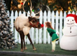 THE ELF -Trish Scully Dresses Outlet Store 186 2