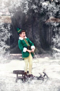 THE ELF -Trish Scully Dresses Outlet Store 186 3