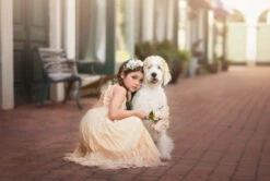 GABBY FLORAL HEADBAND -Trish Scully Dresses Outlet Store 197 2