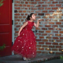 ANTOINETTE GOWN CRIMSON -Trish Scully Dresses Outlet Store 1 fc6c5c7e 00b9 429a a209 038260da8aa7