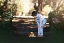 ASHFORD SEERSUCKER 3 PC. SUIT -Trish Scully Dresses Outlet Store 2 2 ae6f2966 1359 4040 8710 9f5c8f10730b