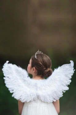 FEATHER WINGS -Trish Scully Dresses Outlet Store 24 3 6a719002 9947 4dec 898c 11c2e0df058f