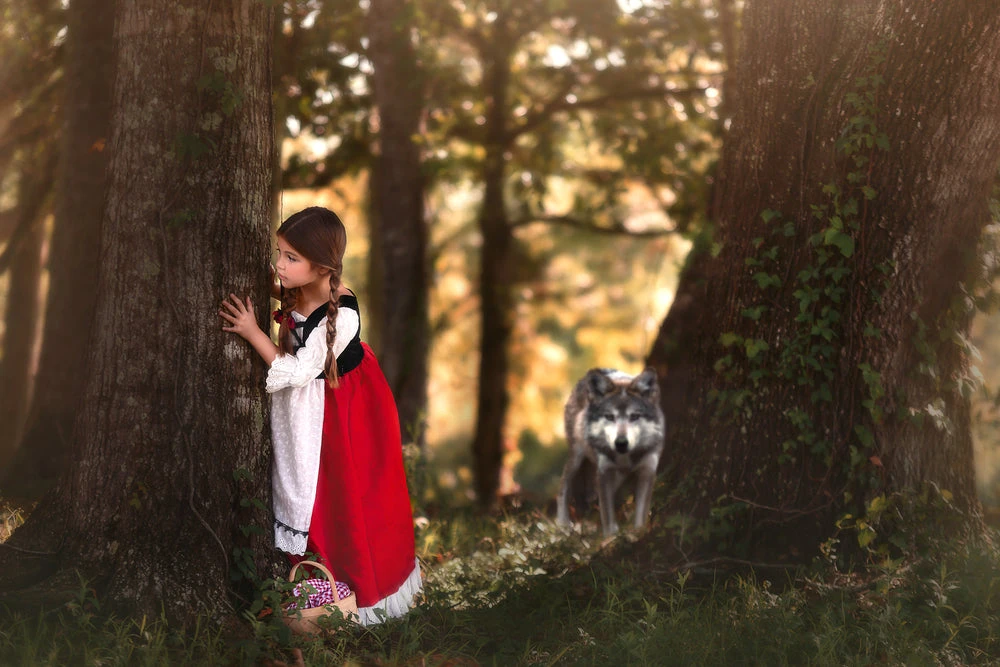 LUXE RED RIDING HOOD DRESS & CAPE SET 3 LUXE RED RIDING HOOD DRESS & CAPE SET - Image 3