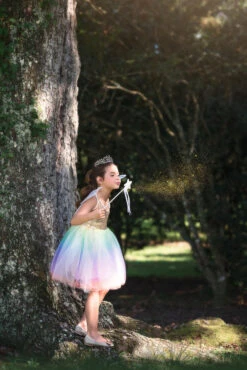 FAIRY DRESS, WINGS & WAND 3PC. SET -Trish Scully Dresses Outlet Store 280 5