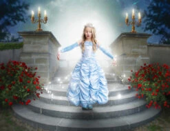 PRINCESS CAROLINE GOWN & GLOVE SET -Trish Scully Dresses Outlet Store 286 4