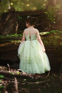 FROG PRINCESS GOWN & BELT SET -Trish Scully Dresses Outlet Store 292 4