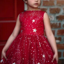 ANTOINETTE GOWN CRIMSON -Trish Scully Dresses Outlet Store 2 8a1fd718 ff2d 4eaa a140 e73fb5f2464d