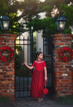 LA ROSA ROJA SOFT CLUTCH -Trish Scully Dresses Outlet Store 302 3