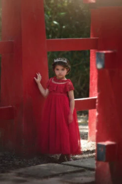 GIOVANNA GOWN CRIMSON -Trish Scully Dresses Outlet Store 331 1