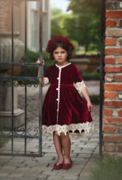 ROSALINA DRESS BURGUNDY VELVET