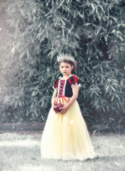 FLASH SALE PRINCESS KATE DRESS -Trish Scully Dresses Outlet Store 348 4