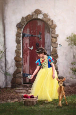 GENEVIEVE COSTUME -Trish Scully Dresses Outlet Store 349 4