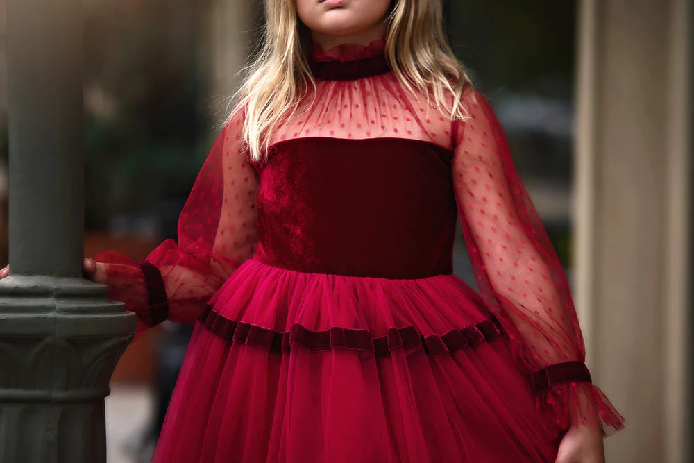 MAEVE DRESS CRIMSON 2 MAEVE DRESS CRIMSON - Image 2