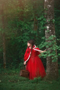 LITTLE RED RIDING HOOD -Trish Scully Dresses Outlet Store 415 4