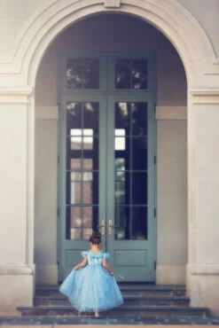 FLASH SALE QUEEN OF THE KINGDOM PRINCESS DRESS COSTUME -Trish Scully Dresses Outlet Store 417 4