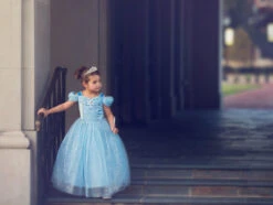 FLASH SALE QUEEN OF THE KINGDOM PRINCESS DRESS COSTUME -Trish Scully Dresses Outlet Store 417 6