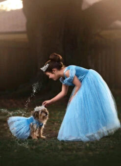 FLASH SALE QUEEN OF THE KINGDOM PRINCESS DRESS COSTUME -Trish Scully Dresses Outlet Store 417 8