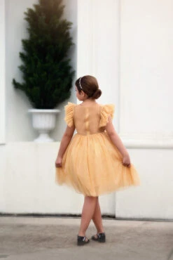 MILLY DRESS SPARKLING CHAMPAGNE -Trish Scully Dresses Outlet Store 52 3