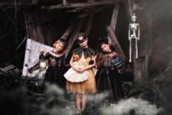 MILLY DRESS SPARKLING CHAMPAGNE -Trish Scully Dresses Outlet Store 53 5