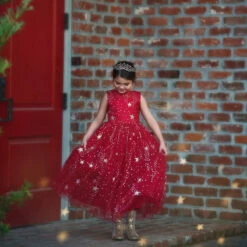 ANTOINETTE GOWN CRIMSON -Trish Scully Dresses Outlet Store 5 454f3d67 0eb7 4aee ae39 7036ff9d68d8