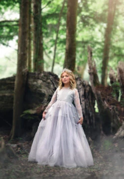 MARIPOSA GOWN SILVER 7 MARIPOSA GOWN SILVER -Trish Scully Dresses Outlet Store 65 4