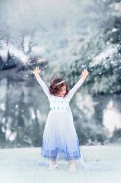 PRINCESS SIGRID GOWN