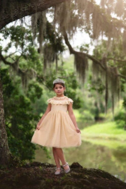 GIOVANNA DRESS BUTTERSCOTCH -Trish Scully Dresses Outlet Store 71 1 a37c6a66 173a 4942 a916 37b0e63c6c10