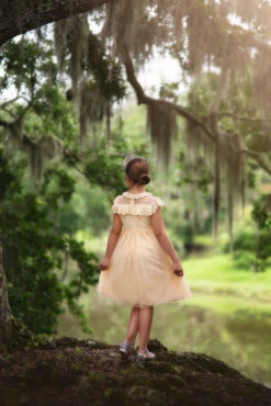 GIOVANNA DRESS BUTTERSCOTCH -Trish Scully Dresses Outlet Store 71 3 66b2b897 f3e8 47f7 afd0 1435e90b1784