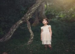 OLIVIA DRESS BUTTERSCOTCH 12 OLIVIA DRESS BUTTERSCOTCH -Trish Scully Dresses Outlet Store TS12fb