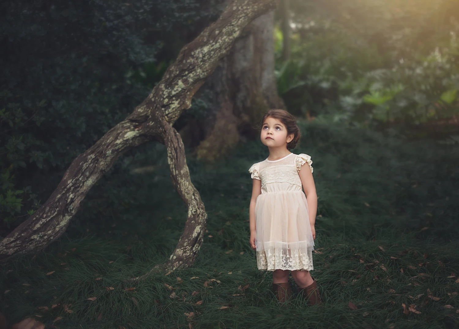 OLIVIA DRESS BUTTERSCOTCH 7 OLIVIA DRESS BUTTERSCOTCH - Image 7