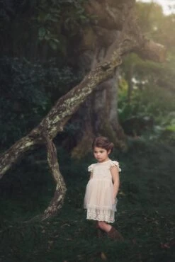 OLIVIA DRESS BUTTERSCOTCH 11 OLIVIA DRESS BUTTERSCOTCH -Trish Scully Dresses Outlet Store TS13fb