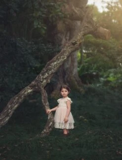 OLIVIA DRESS BUTTERSCOTCH 9 OLIVIA DRESS BUTTERSCOTCH -Trish Scully Dresses Outlet Store TS15fb