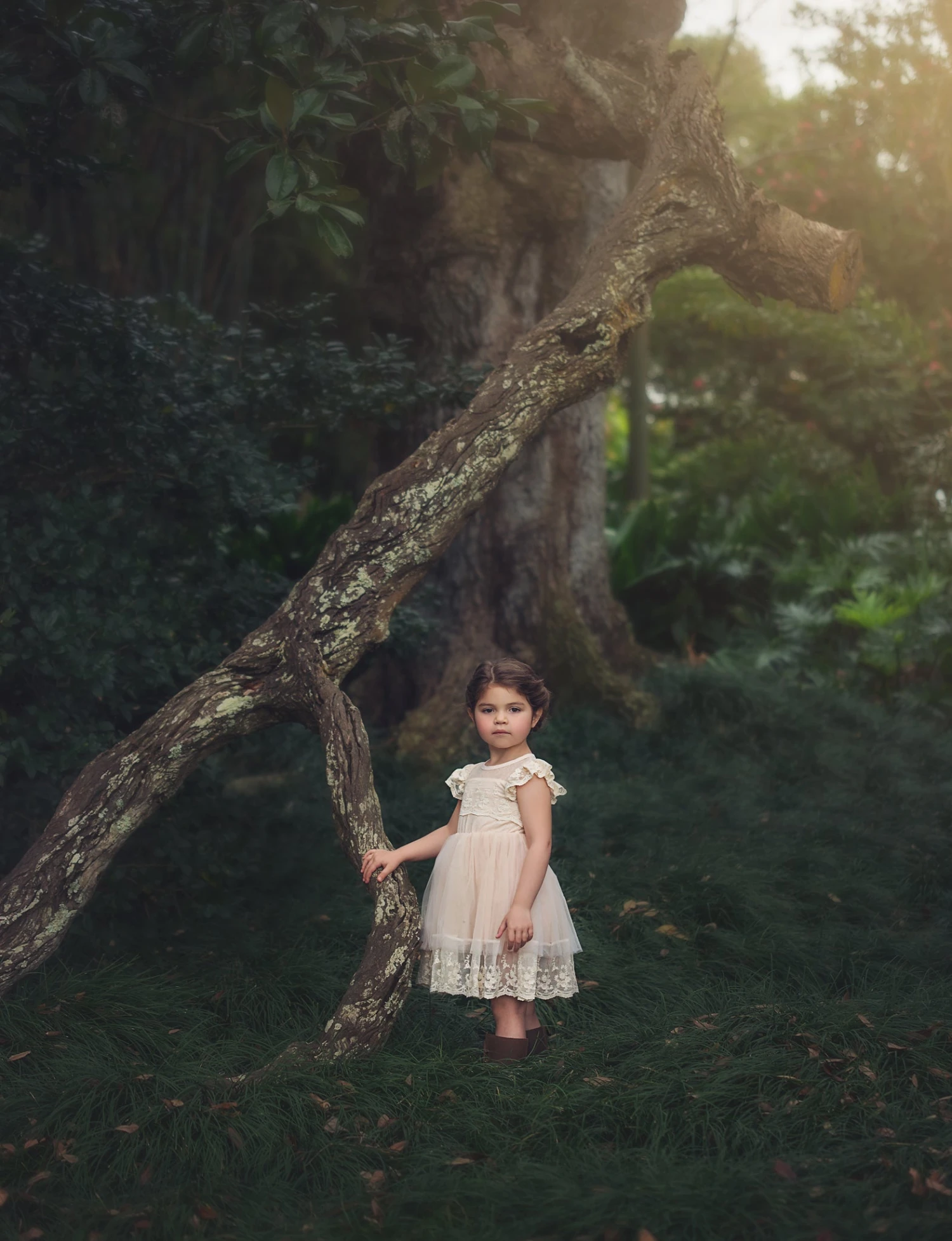 OLIVIA DRESS BUTTERSCOTCH 3 OLIVIA DRESS BUTTERSCOTCH - Image 3