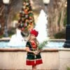 JANIE THE ELF DRESS & HAT SET