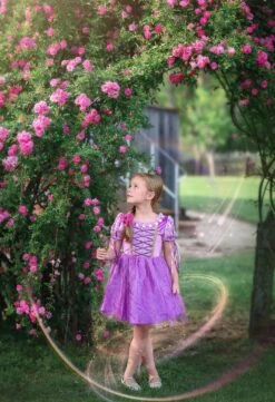 FLASH SALE DUCHESS PRINCESS MINI DRESS -Trish Scully Dresses Outlet Store TSC14fb 1