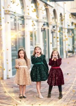 EMMA SEQUIN DRESS GOLD -Trish Scully Dresses Outlet Store TSC16fb 2