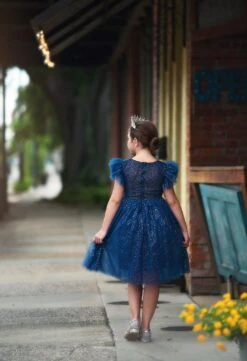 MILLY DRESS SPARKLE NAVY -Trish Scully Dresses Outlet Store TSC23fb 5 copy