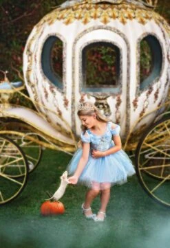 PRINCESS EMILIE TIARA -Trish Scully Dresses Outlet Store TSC40fb 1