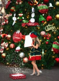 JANIE THE ELF DRESS & HAT SET 8 JANIE THE ELF DRESS & HAT SET -Trish Scully Dresses Outlet Store TSC9fb 1 3b1c27ce 30bf 4f2d 8411 9a554885bc3c