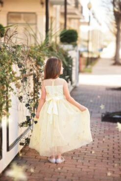 ANTOINETTE GOWN SUNSHINE -Trish Scully Dresses Outlet Store antoinsun3